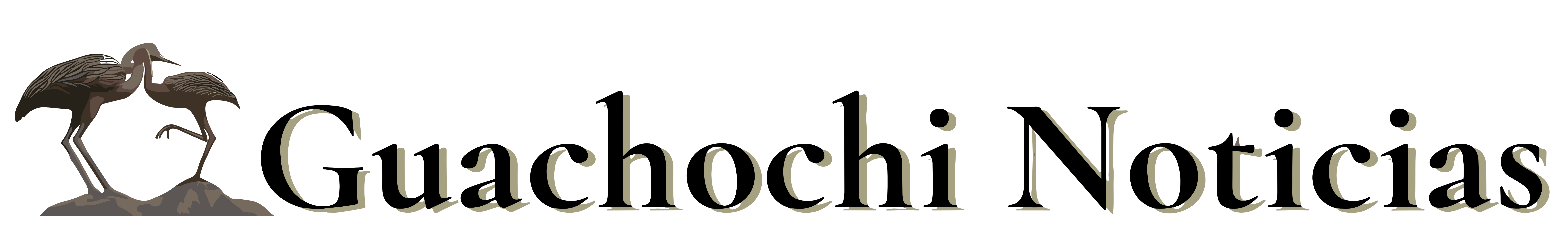 Guachochi Noticias