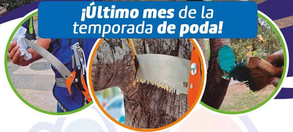 Recuerda, queda un mes de la temporada de poda