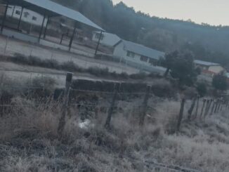 Prevén temperaturas bajo cero por ingreso del Frente Frío 24 durante la semana
