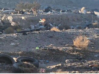 Hallan cadáver de un hombre con un balazo en la cabeza en el Parque El Mirador