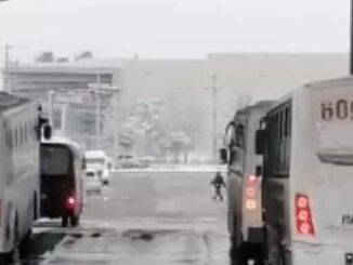 Bowí opera con normalidad pese a condiciones climatológicas