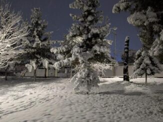 Parque Los Tronquitos amanece cubierto de nieve tras tormenta invernal