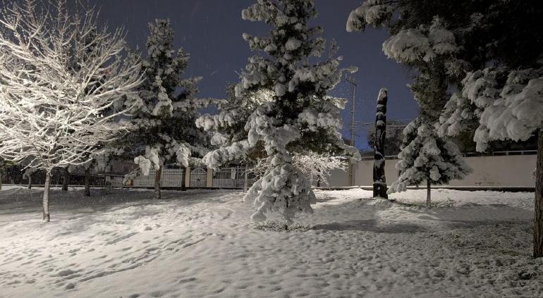 Parque Los Tronquitos amanece cubierto de nieve tras tormenta invernal