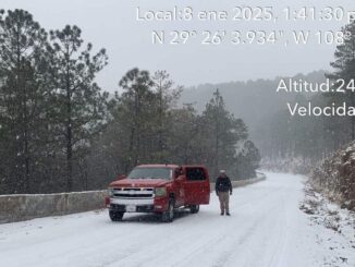Actualizan información sobre condiciones climáticas y tramos carreteros cerrados por Segunda Tormenta Invernal