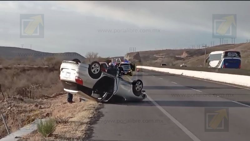 Doble choque con volcadura por una vaca en autopista Cuauhtémoc-Chihuahua; una lesionada