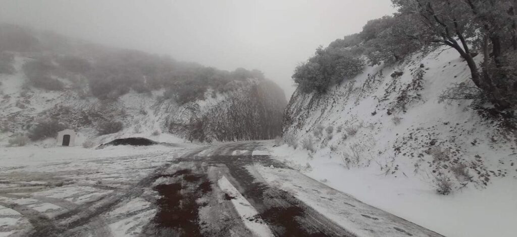 Traerá Segunda Tormenta Invernal vientos de hasta 85 km/h a la entidad en próximos días