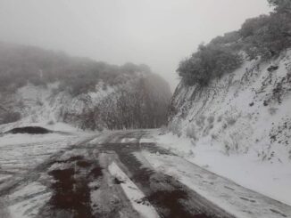 Traerá Segunda Tormenta Invernal vientos de hasta 85 km/h a la entidad en próximos días