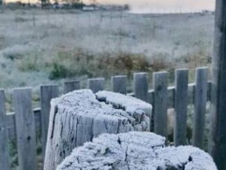 San Juanito registra nuevamente la temperatura más baja: -8.2°C