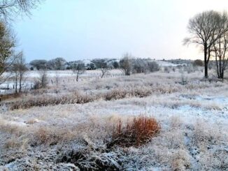 San Juanito registra -10°C, la temperatura más baja en Chihuahua por frente frío