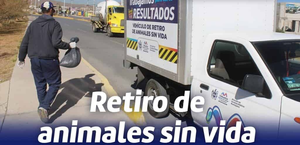 Ofrece municipio el servicio de retiro de animales sin vida en la vía pública