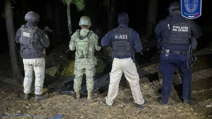 asegura-boi-gran-cantidad-de-marihuana-cerca-del-lugar-del-hallazgo-de-cuerpos-inhumados-clandestinamente-en-casas-grandes.jpg Asegura BOI gran cantidad de marihuana cerca del lugar del hallazgo de cuerpos inhumados clandestinamente en Casas Grandes
