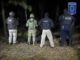 Asegura BOI gran cantidad de marihuana cerca del lugar del hallazgo de cuerpos inhumados clandestinamente en Casas Grandes