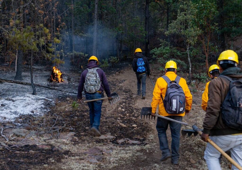 Registra SDR tres incendios forestales activos en el estado