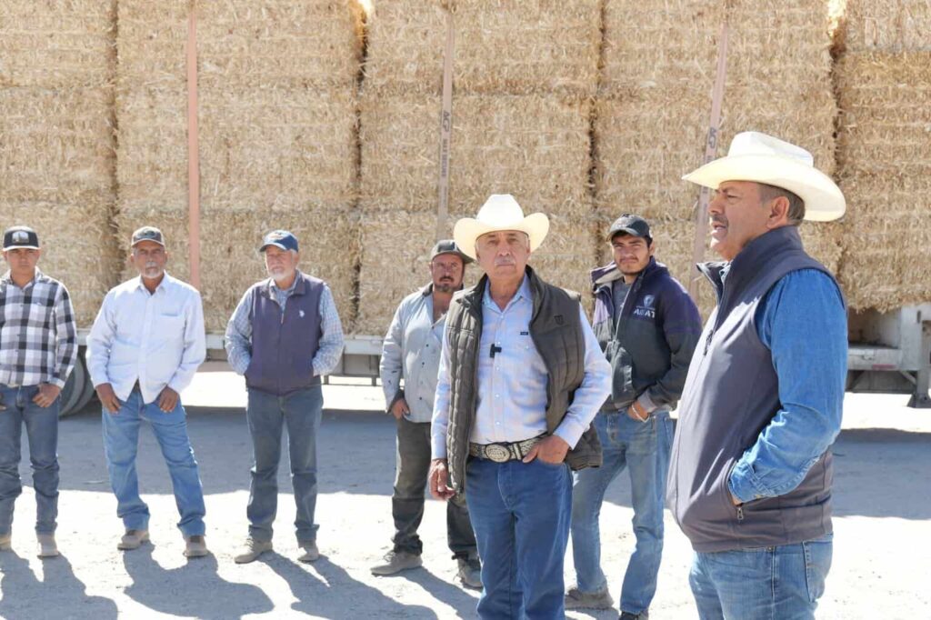 Entrega Diputado Arturo Zubía 300 pacas de rastrojo a productores ganaderos en Jiménez