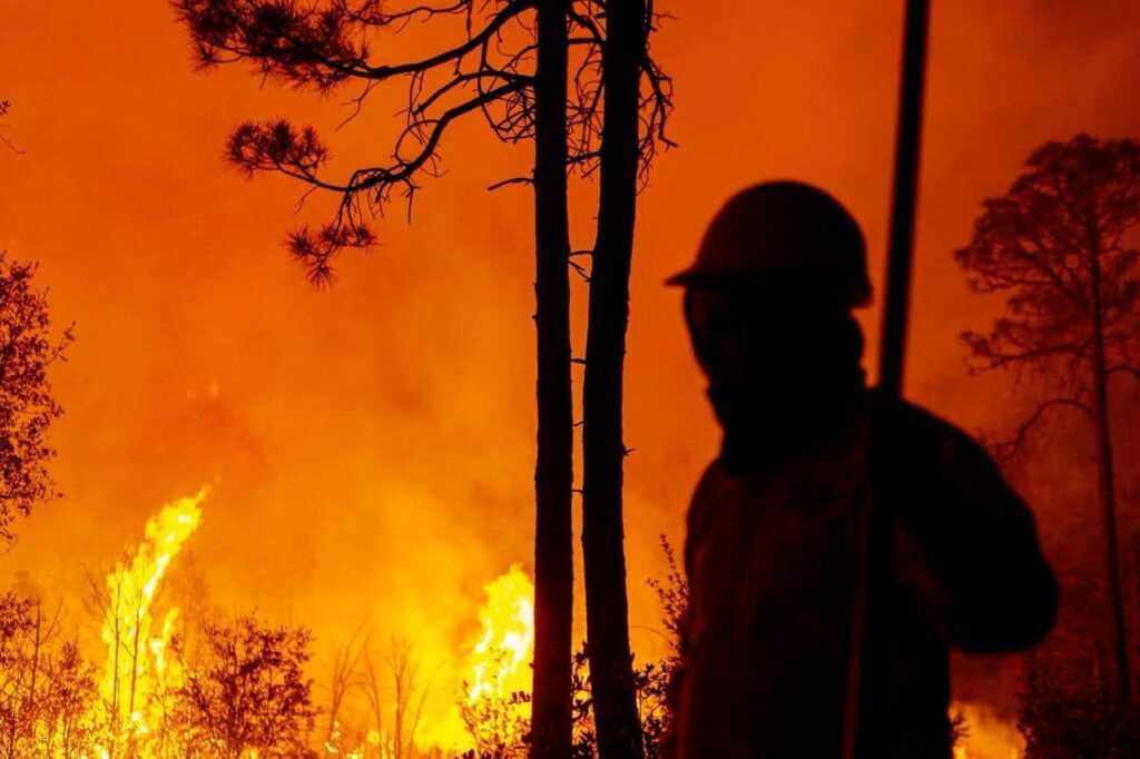 Despliegan a 224 combatientes para controlar 15 incendios forestales activos en la entidad