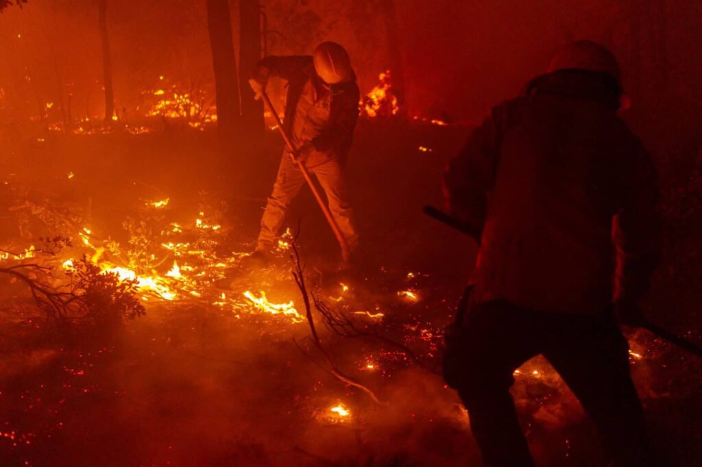 Registra SDR siete incendios forestales activos en el estado