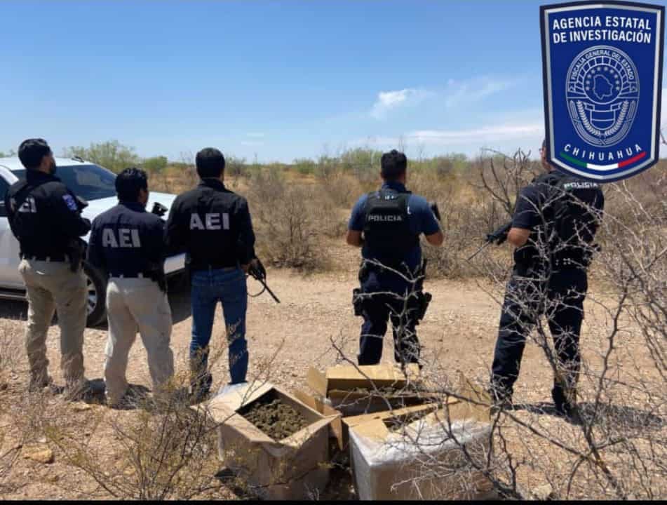 Asegura Operativo Conjunto más de 20 kilogramos de marihuana en Villa López