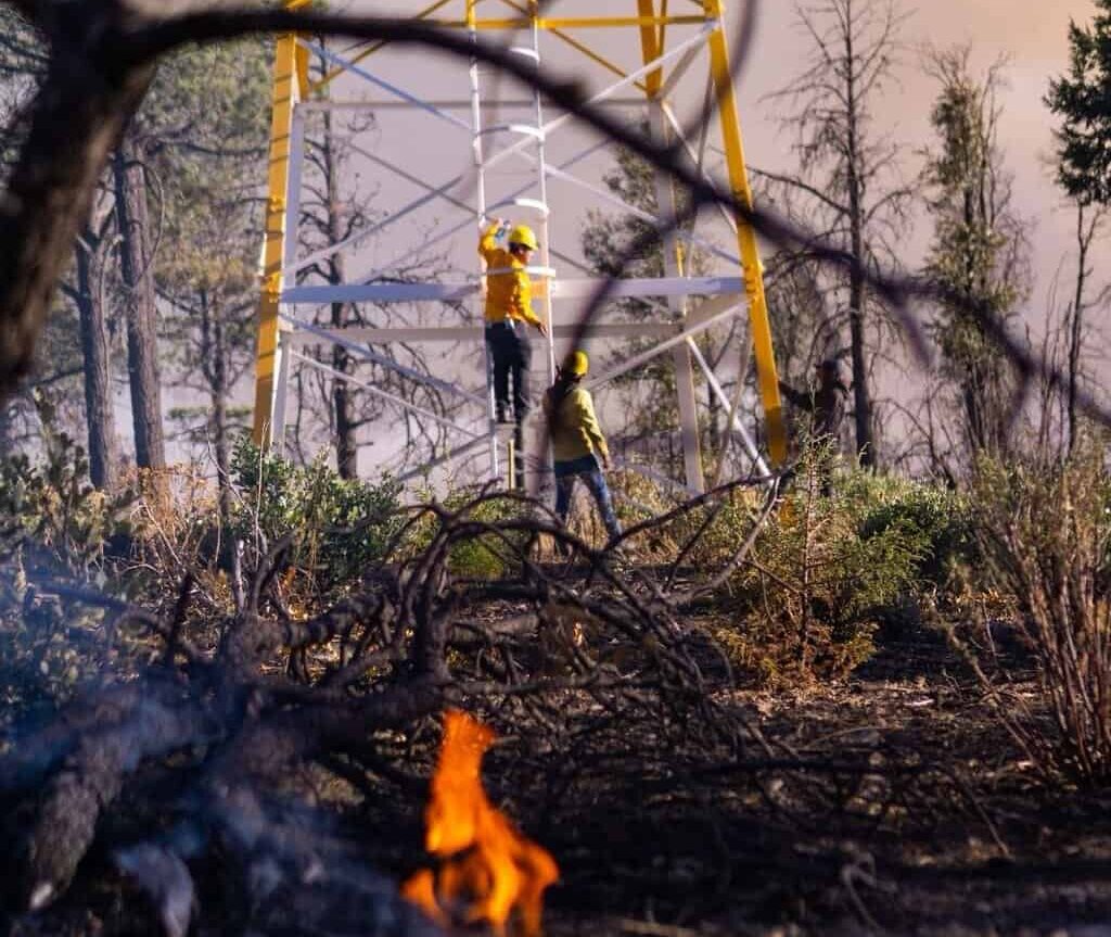 Registran 9 incendios forestales activos en el estado