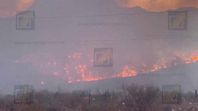 se-registra-un-incendio-de-gran-magnitud-en-el-relleno-sanitario-bomberos-trabajan-en-el-lugar.jpeg Se registra un incendio de gran magnitud en el relleno sanitario; bomberos trabajan en el lugar