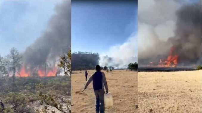 piden-apoyo-ante-fuerte-incendio-en-san-miguel-de-sopechichi-en-bocoyna.jpg Piden apoyo ante fuerte incendio en San Miguel de Sopechichi en Bocoyna