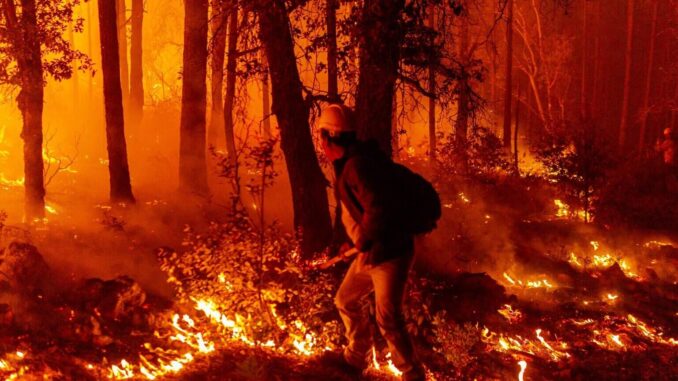 registra-sdr-289-incendios-forestales-en-lo-que-va-de-2025.jpeg Registra SDR 289 incendios forestales en lo que va de 2025