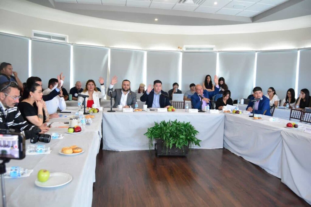 Aprueban acuerdo para realizar Consulta Estrecha y de Colaboración Activa de Personas con Discapacidad 2025