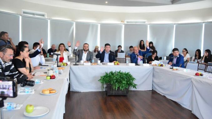 Aprueban acuerdo para realizar Consulta Estrecha y de Colaboración Activa de Personas con Discapacidad 2025