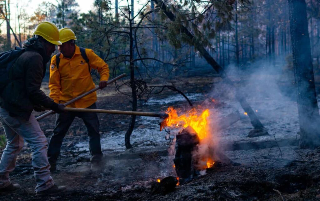 Reporta SDR 13 incendios activos en el estado