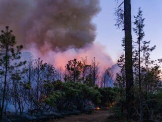 Refuerzan coordinación para combatir incendios forestales con instalación del Equipo Estatal de Manejo de Incidentes