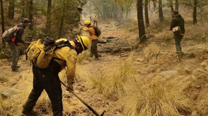 desarrollo-rural-apoya-con-maquinaria-y-personal-para-combatir-incendio-forestal-en-madera.jpeg Desarrollo Rural apoya con maquinaria y personal para combatir incendio forestal en Madera