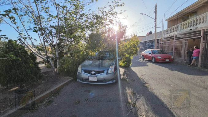 arbol-cae-sobre-vehiculo-en-infonavit-nacional-a-causa-de-fuertes-vientos.jpeg Árbol cae sobre vehículo en Infonavit Nacional a causa de fuertes vientos