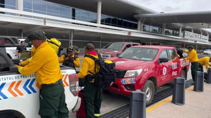 Refuerzan brigadistas del Estado de México acciones contra incendios forestales en el municipio de Madera