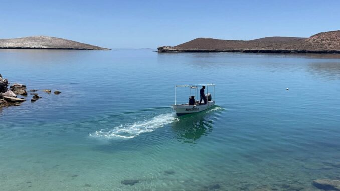 demandan-a-gobierno-de-trump-por-poner-en-peligro-a-ballenas-y-tortugas-del-golfo-de-mexico.jpg Demandan a gobierno de Trump por poner en peligro a ballenas y tortugas del Golfo de México