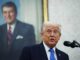Percepción de inseguridad para Trump en México es un peligro para Sheinbaum: Leopoldo Gómez