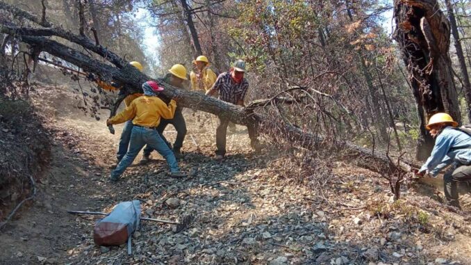combaten-438-brigadistas-18-incendios-forestales-activos-en-chihuahua.jpeg Combaten 438 brigadistas 18 incendios forestales activos en Chihuahua