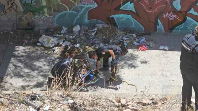 queda-herido-tras-caer-a-un-arroyo-de-la-colonia-20-aniversario.jpeg Queda herido tras caer a un arroyo de la colonia 20 Aniversario