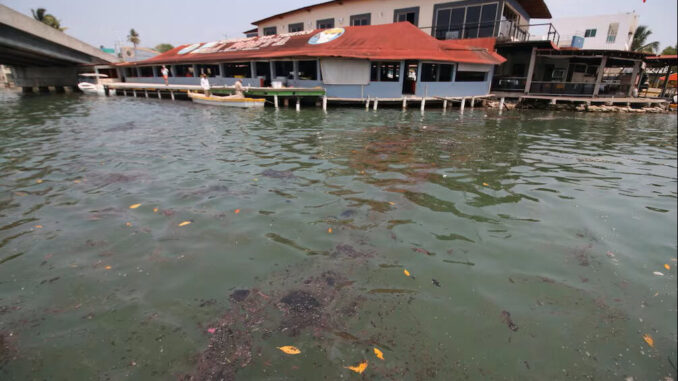 derrame-de-hidrocarburo-en-tabasco-mata-peces-y-cierra-playas-acusan-a-pemex.jpg Derrame de hidrocarburo en Tabasco mata peces y cierra playas; acusan a Pemex