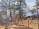 Reporta SDR 11 incendios forestales activos en Chihuahua este sábado