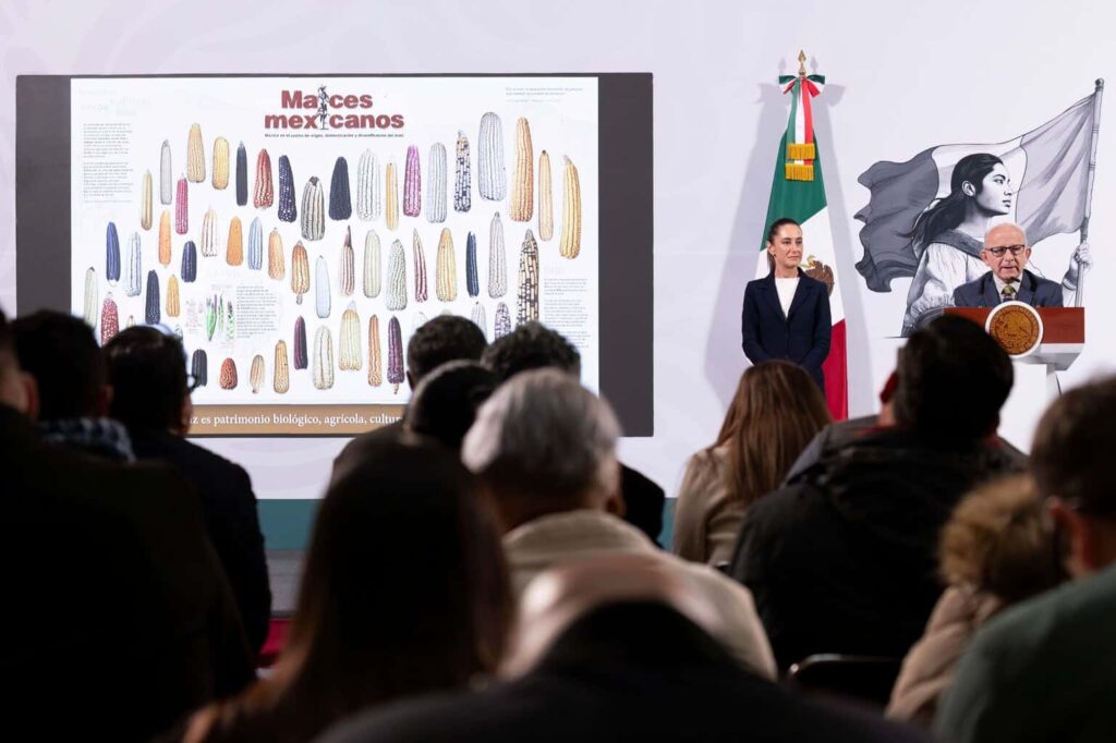 Conferencia matutina Claudia Sheinbaum 6 de junio