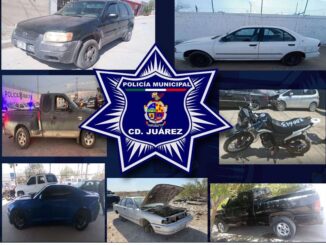 Recuperan 8 autos robados en las últimas 24 horas
