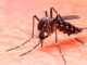Salud presenta Plan Nacional contra Dengue; van 18 muertes en lo que va de 2025