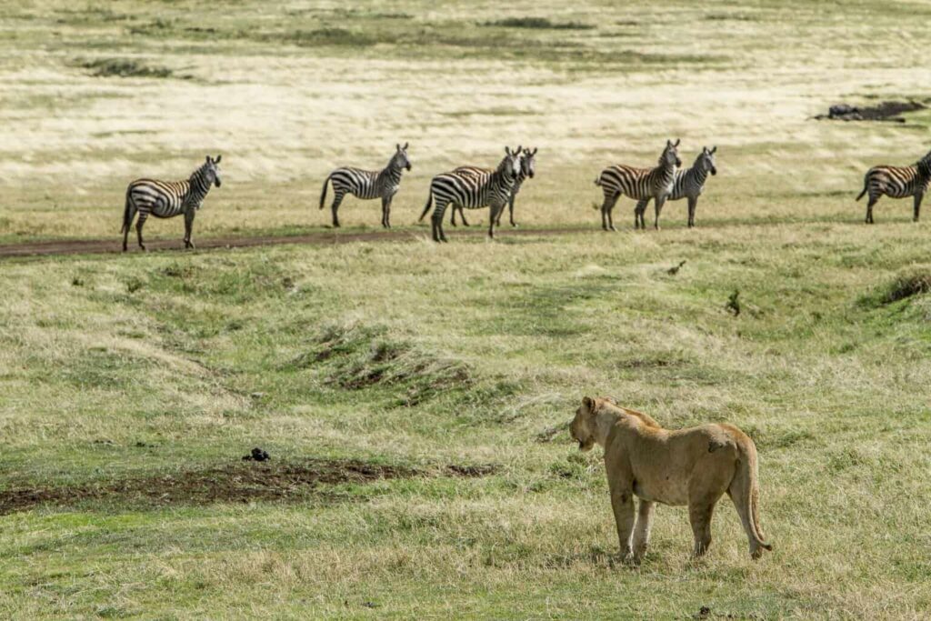 el contacto real con la naturaleza