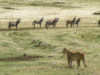 el contacto real con la naturaleza