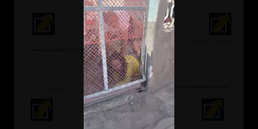 (VIDEO) Captan al esposo y directora de IPACULT Juárez golpeando a una mujer