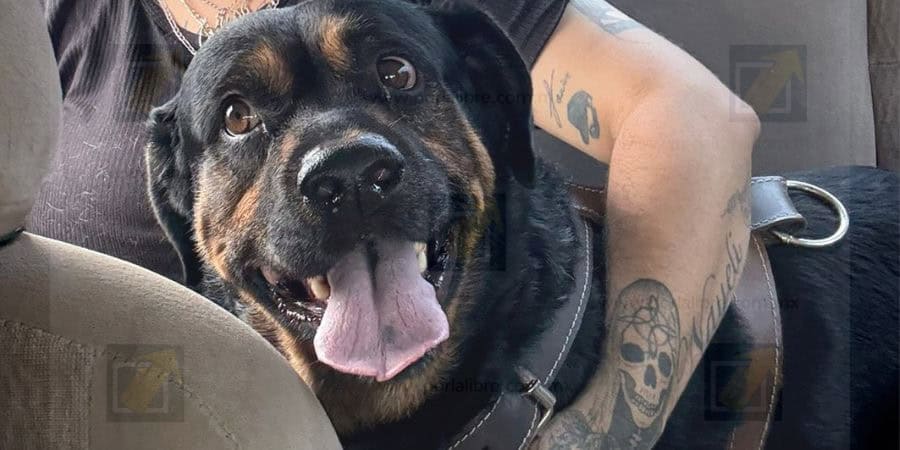 Piden apoyo para encontrar a Teo
