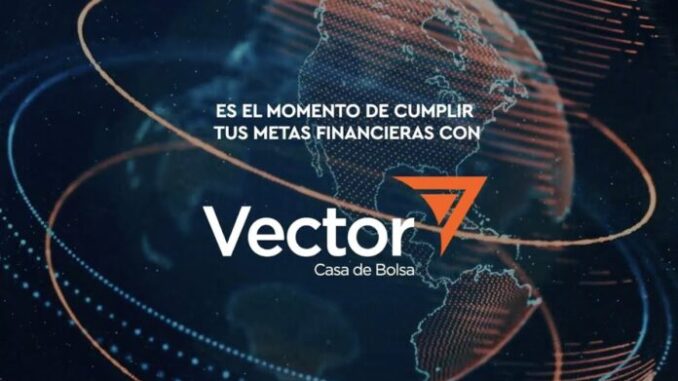 vector-casa-de-bolsa-696x392.jpg