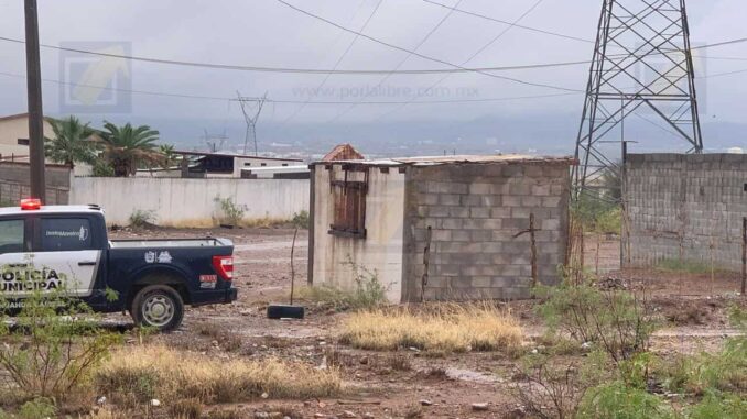 encuentran-a-un-hombre-sin-vida-en-un-arbol-en-la-colonia-ampliacion-crucero.jpeg Encuentran a un hombre sin vida en un árbol en la colonia Ampliación Crucero