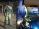 Trump analiza la exención de deportar a obreros y agricultores migrantes