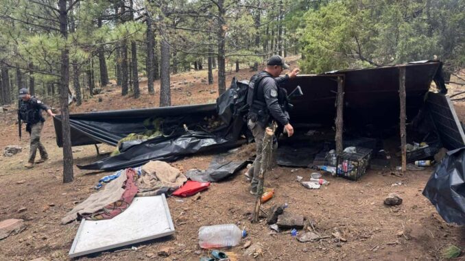 destruyen-campamento-utilizado-por-integrantes-del-crimen-organizado-en-madera.jpeg Destruyen campamento utilizado por integrantes del crimen organizado en Madera