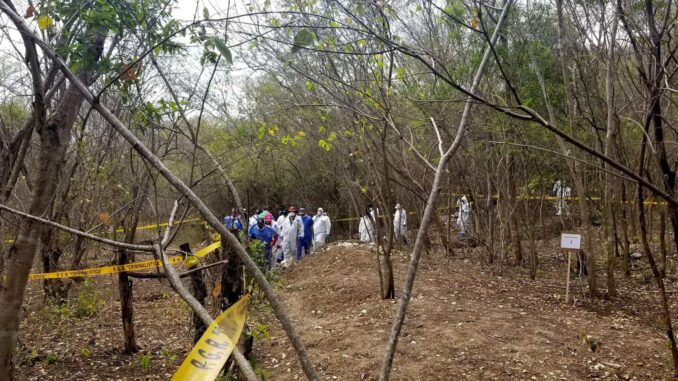 especialistas-y-buscadores-de-personas-desaparecidas-afinan-metodo-para-localizar-fosas-mediante-flores-y-animales.jpg Especialistas y buscadores de personas desaparecidas afinan método para localizar fosas mediante flores y animales